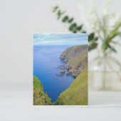 ニューファンドランド海岸線 ポストカード (スタンド正面)