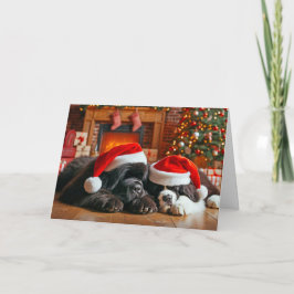 ニューファンドランド犬が眠っているクリスマスカード シーズンカード
