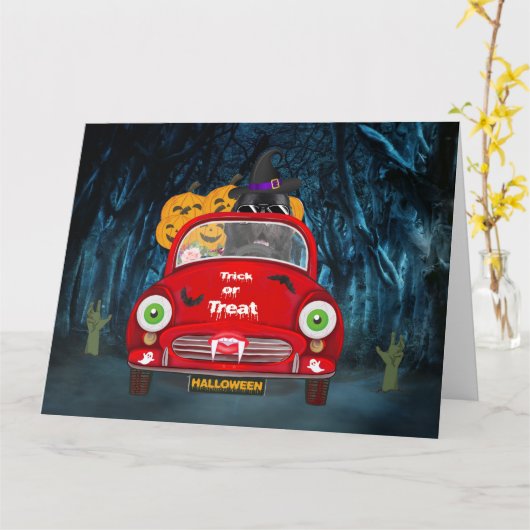 ニューファンドランド犬が車を運転するハロウィンの怖い画像 カード (黄色い花)