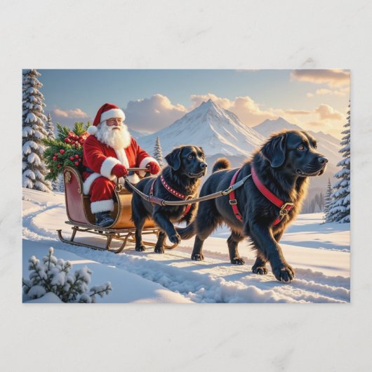 ニューファンドランド犬のクリスマスカード シーズンカード (正面)