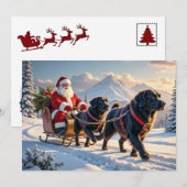 ニューファンドランド犬のクリスマスカード シーズンカード (正面/裏面)