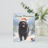 ニューファンドランド犬のクリスマス シーズンポストカード (スタンド正面)