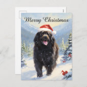 ニューファンドランド犬のクリスマス シーズンポストカード (正面/裏面)