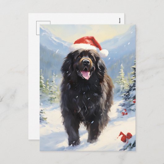 ニューファンドランド犬のクリスマス シーズンポストカード (正面/裏面)