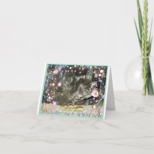 ニューファンドランド犬の味魔法 カード (正面)