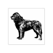 ニューファンドランド犬の品種 ラバースタンプ (インプリント)