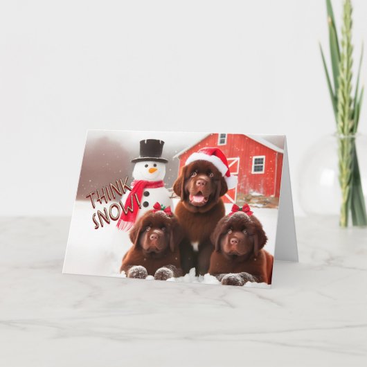 ニューファンドランド犬の茶色、雪のクリスマスカード シーズンカード (正面)