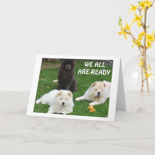 ニューファンドランド犬は「ハッピーバースデー」を言いたがる カード (黄色い花)