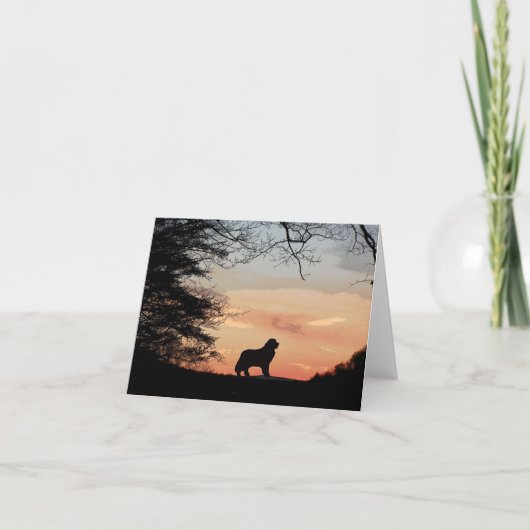 ニューファンドランド犬カード カード (正面)