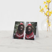 ニューファンドランド犬クリスマスカード カード (黄色い花)