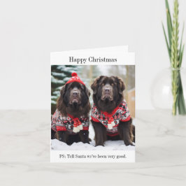 ニューファンドランド犬クリスマスジャンパーカード カード