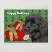 ニューファンドランド犬クリスマスホリデー葉書 シーズンポストカード (正面)