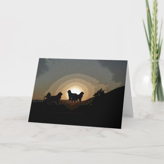 ニューファンドランド犬グリーティングカード カード (正面)