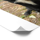 ニューファンドランド犬ポスター ポスター (角)