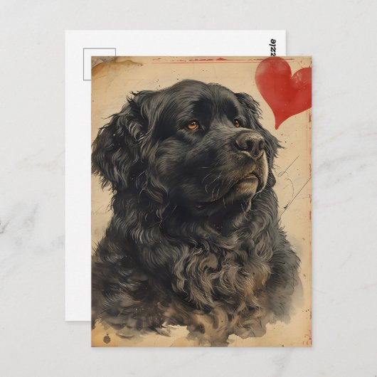 ニューファンドランド犬ヴィンテージバレンタインデー ポストカード (正面/裏面)