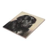 ニューファンドランド犬ヴィンテージリアル絵を描 タイル (側面)