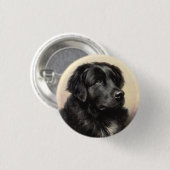 ニューファンドランド犬ヴィンテージリアル絵を描 缶バッジ (正面&裏面)