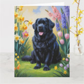 ニューファンドランド犬絵を描春の花 カード (黄色い花)