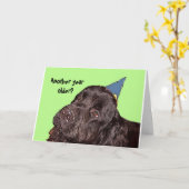 ニューファンドランド犬誕生日カード カード (黄色い花)