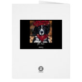 ニューファンドランド犬 (裏面)