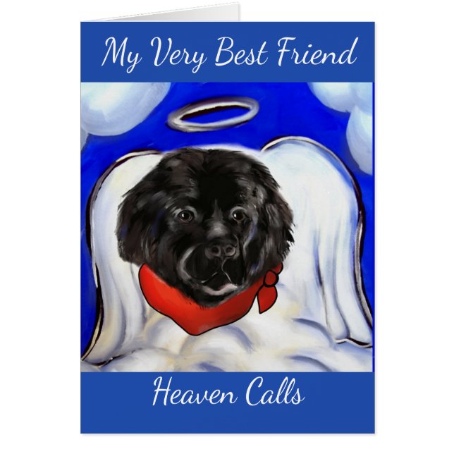 ニューファンドランド犬 (正面)