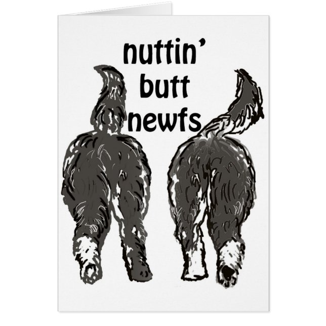 ニューファンドランド犬 (正面)