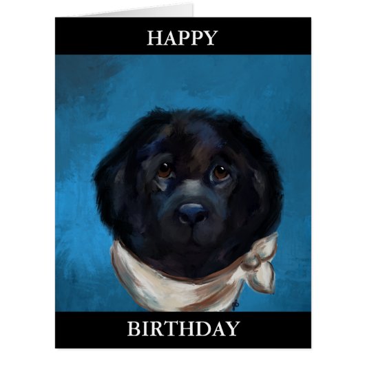 ニューファンドランド犬 (正面)