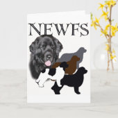 ニューファンドランド犬4色 カード (黄色い花)