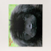 ニューファンドランド犬。 ジグソーパズル (縦)