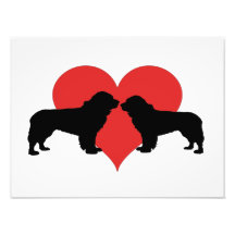 ニューファンドランド犬