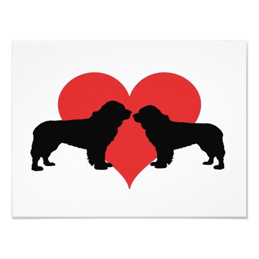 ニューファンドランド犬 フォトプリント            (正面)