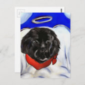 ニューファンドランド犬 ポストカード (正面/裏面)