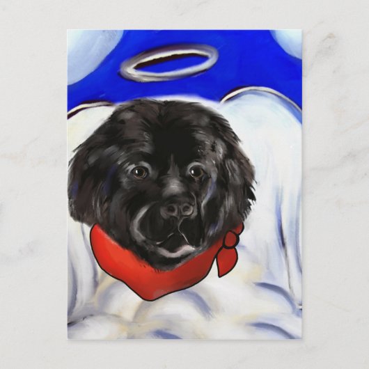 ニューファンドランド犬 ポストカード (正面)