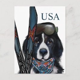 ニューファンドランド犬 ポストカード