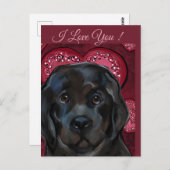 ニューファンドランド犬 ポストカード (正面/裏面)