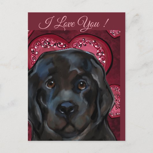 ニューファンドランド犬 ポストカード (正面)