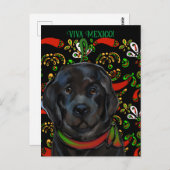 ニューファンドランド犬 ポストカード (正面/裏面)