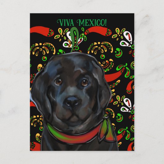 ニューファンドランド犬 ポストカード (正面)