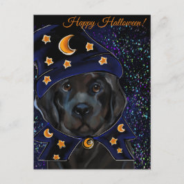 ニューファンドランド犬 ポストカード