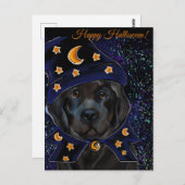 ニューファンドランド犬 ポストカード (正面/裏面)