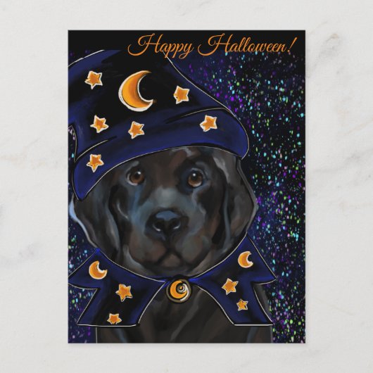 ニューファンドランド犬 ポストカード (正面)