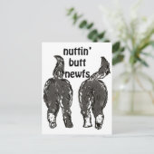 ニューファンドランド犬 ポストカード (スタンド正面)