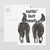 ニューファンドランド犬 ポストカード (正面/裏面)