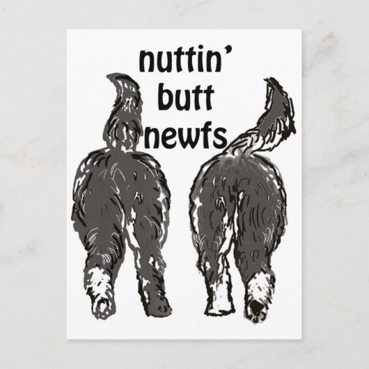 ニューファンドランド犬 ポストカード (正面)