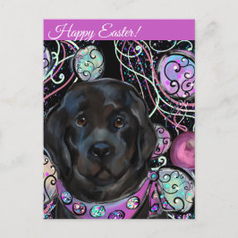 ニューファンドランド犬 ポストカード