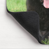 ニューファンドランド犬 マウスパッド (コーナー)