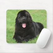 ニューファンドランド犬 マウスパッド (マウス)