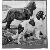 ニューファンドランド犬 – ヴィンテージイラストレーション シャワーカーテン (正面)