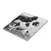 ニューファンドランド犬 – ヴィンテージイラストレーション タイル (側面)