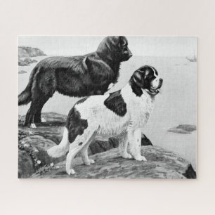 ニューファンドランド犬 – ヴィンテージイラストレーションjigsaw p ジグソーパズル